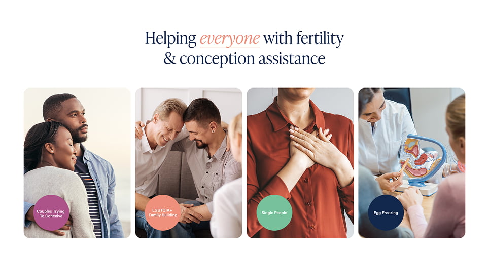 Boston IVF website screen 2